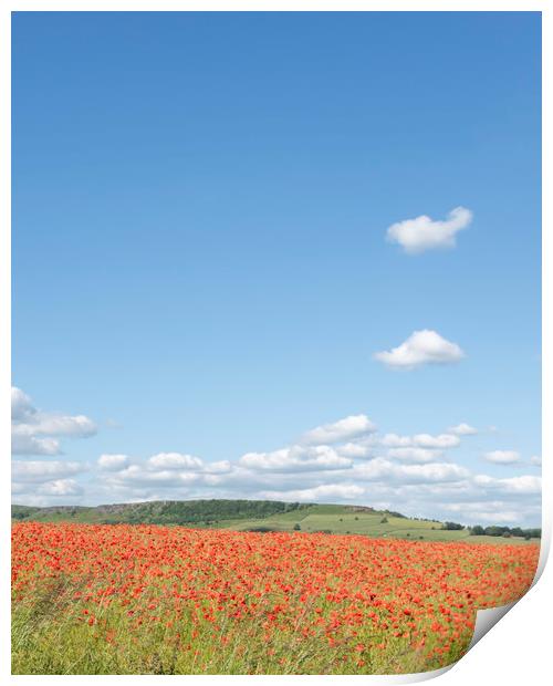 Poppy Field Print by Graham Custance