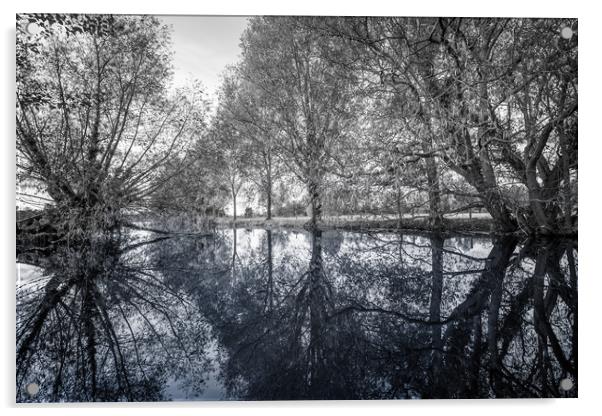 Reflections of Trees Acrylic by Svetlana Sewell