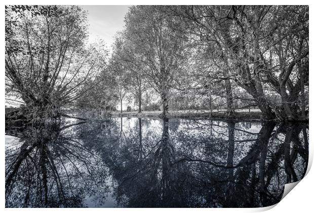 Reflections of Trees Print by Svetlana Sewell