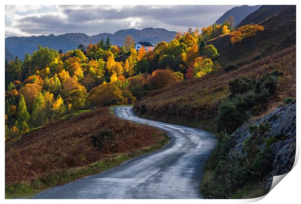 Autumnal Lake District  Print by John Finney