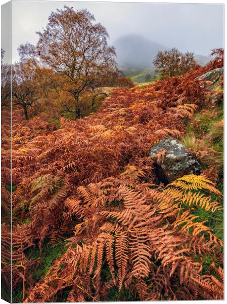 Autumnal Landscape of the Peak District  Canvas Print by John Finney