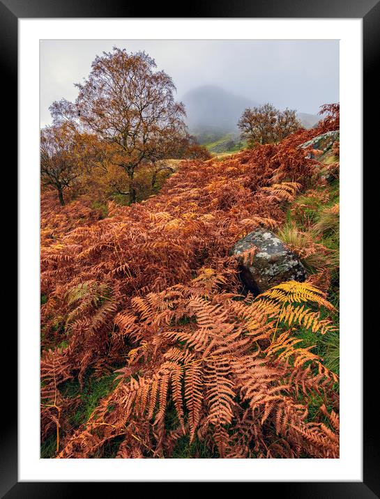 Autumnal Landscape of the Peak District  Framed Mounted Print by John Finney