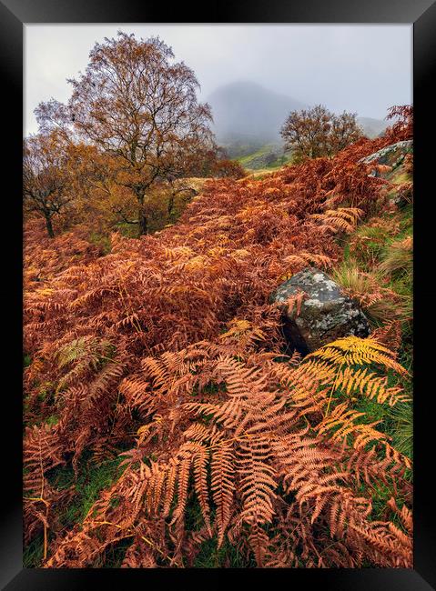 Autumnal Landscape of the Peak District  Framed Print by John Finney