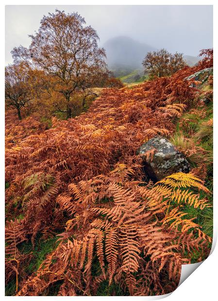 Autumnal Landscape of the Peak District  Print by John Finney