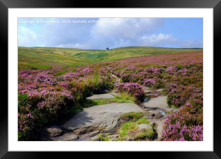 Haworth Moor Footpath to Top Withens Framed Mounted Print by Diana Mower