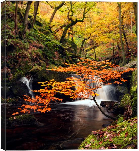 Autumn waterfalls Canvas Print by John Finney