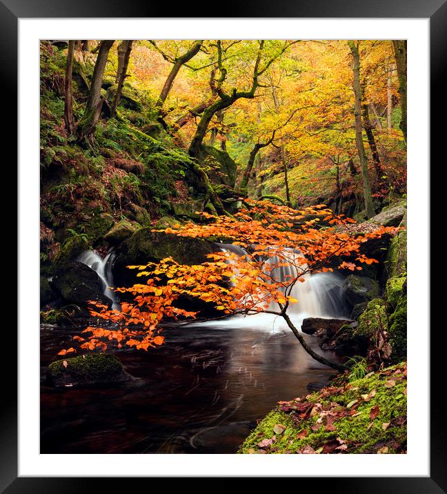 Autumn waterfalls Framed Mounted Print by John Finney