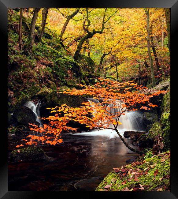 Autumn waterfalls Framed Print by John Finney