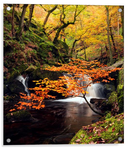 Autumn waterfalls Acrylic by John Finney