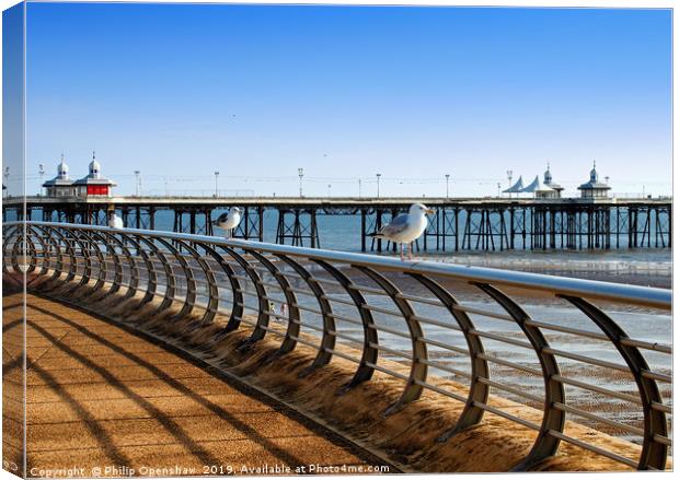 seagulls perched on railings on the promenade in b Canvas Print by Philip Openshaw