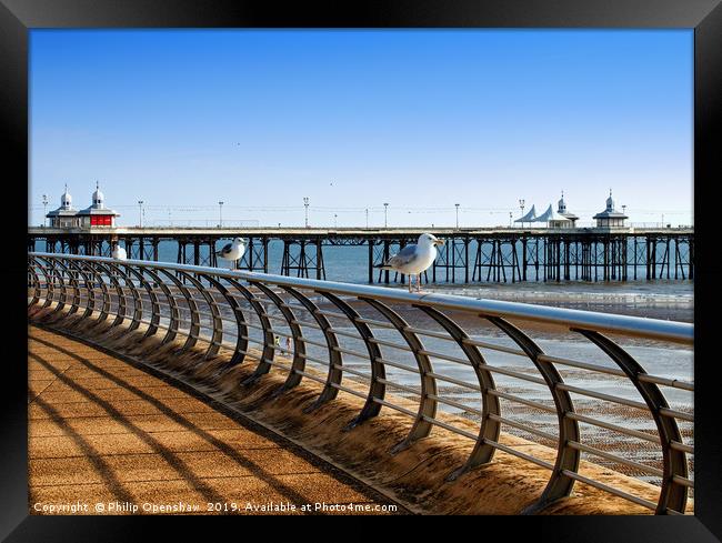 seagulls perched on railings on the promenade in b Framed Print by Philip Openshaw