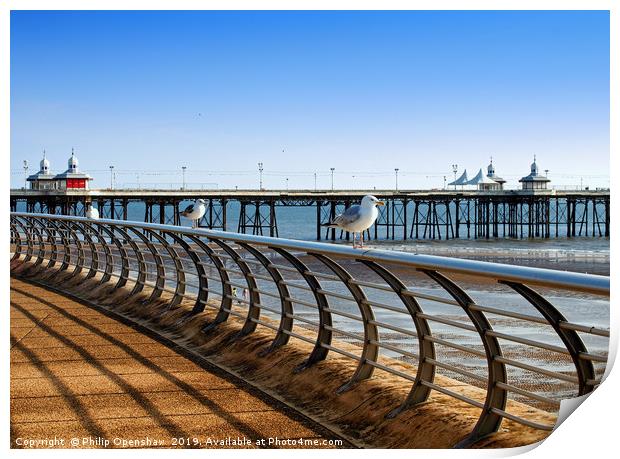 seagulls perched on railings on the promenade in b Print by Philip Openshaw