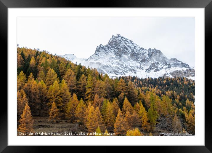 Autumn Foliage Trees Mountain Peak Framed Mounted Print by Fabrizio Malisan