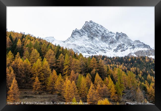 Autumn Foliage Trees Mountain Peak Framed Print by Fabrizio Malisan