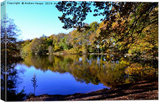 Autumn image in sunshine                           Canvas Print by Andrew Heaps