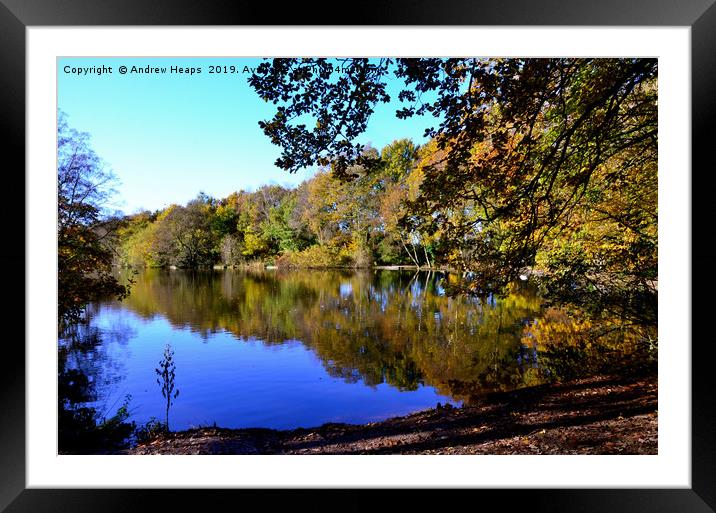 Autumn image in sunshine                           Framed Mounted Print by Andrew Heaps