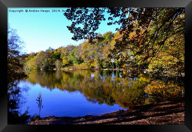 Autumn image in sunshine                           Framed Print by Andrew Heaps