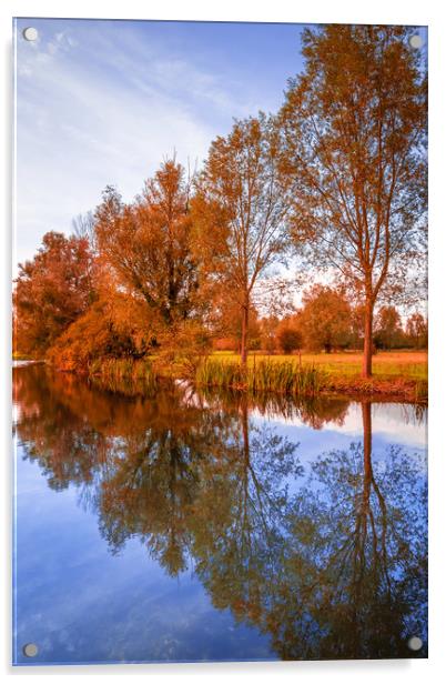 Fall Reflections Acrylic by Svetlana Sewell