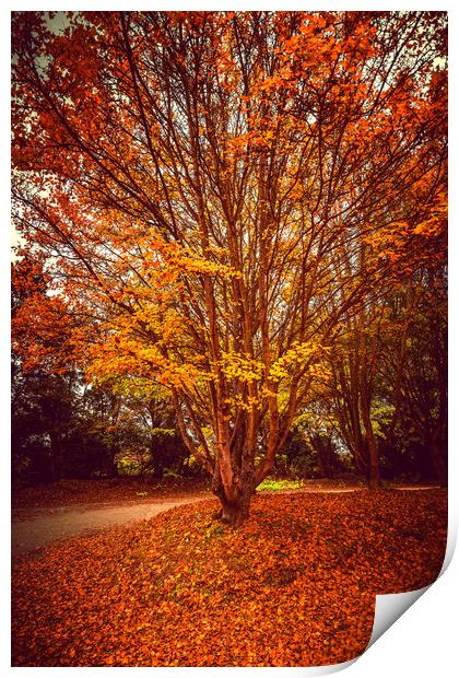 Pretty Autumn Tree Print by Svetlana Sewell