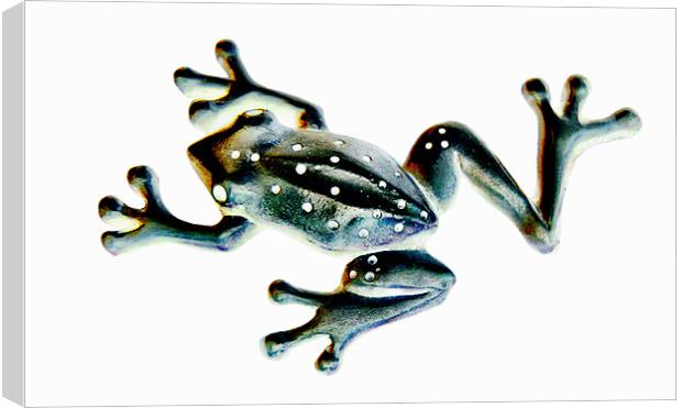 speckled frog Canvas Print by Heather Newton