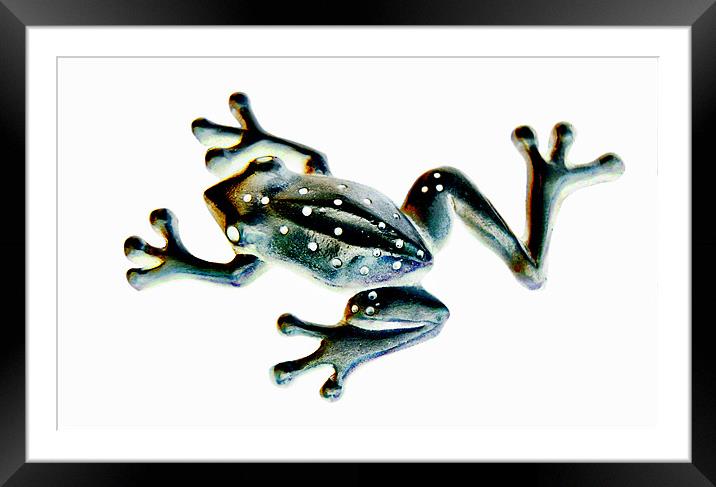 speckled frog Framed Mounted Print by Heather Newton