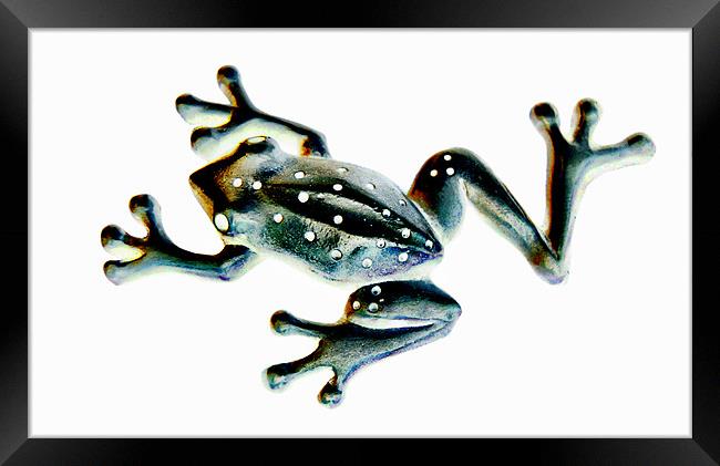 speckled frog Framed Print by Heather Newton