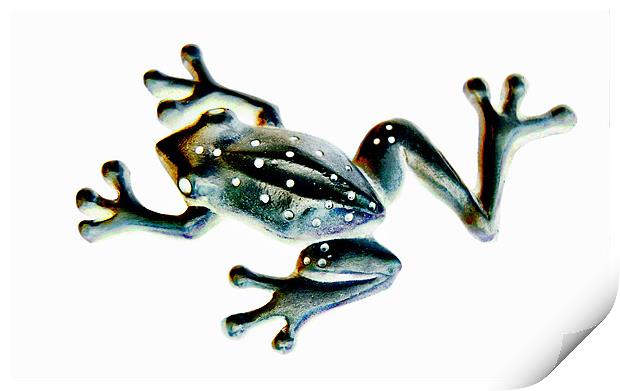 speckled frog Print by Heather Newton