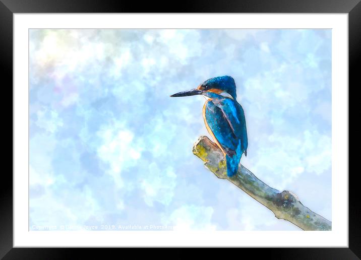 Kingfisher watercolour Framed Mounted Print by Donna Joyce