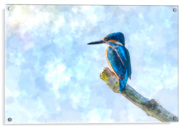 Kingfisher watercolour Acrylic by Donna Joyce