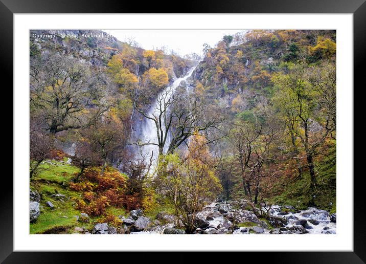 Aber Falls Waterfall in Autumn Snowdonia Framed Mounted Print by Pearl Bucknall