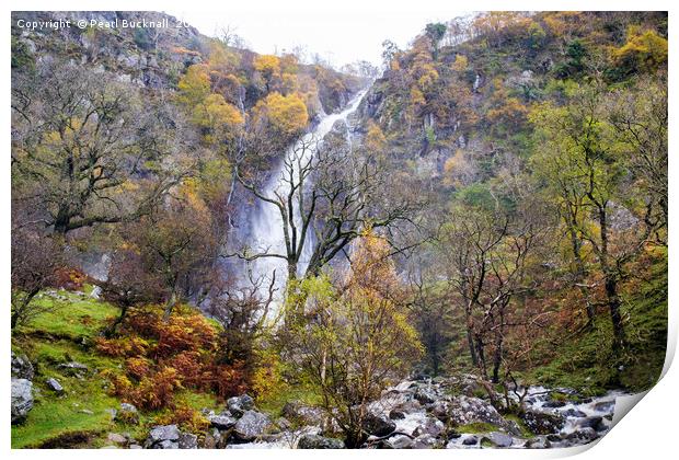 Aber Falls Waterfall in Autumn Snowdonia Print by Pearl Bucknall