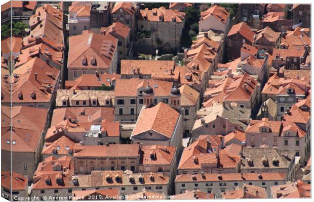 Looking down on Dubrovnik Old town roofs Canvas Print by Andrew Reece