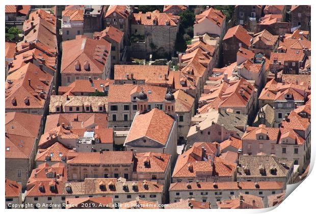 Looking down on Dubrovnik Old town roofs Print by Andrew Reece