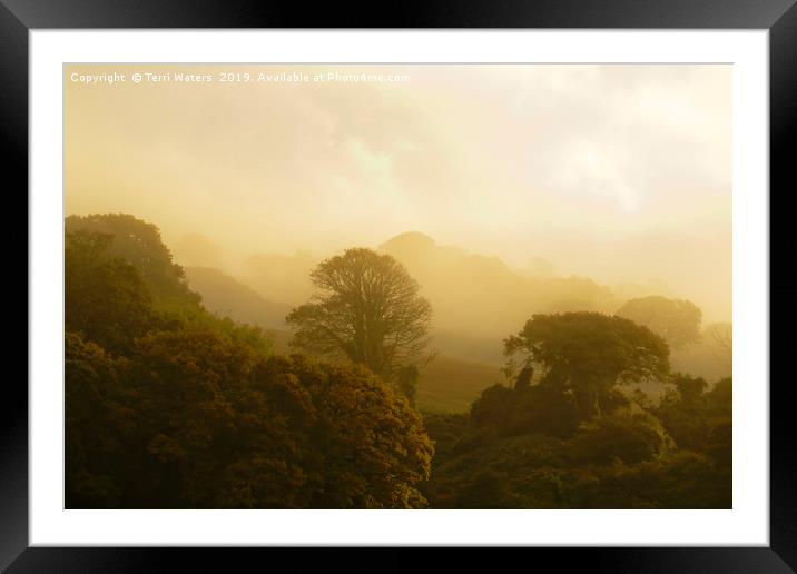 Misty Autumn Morning Framed Mounted Print by Terri Waters