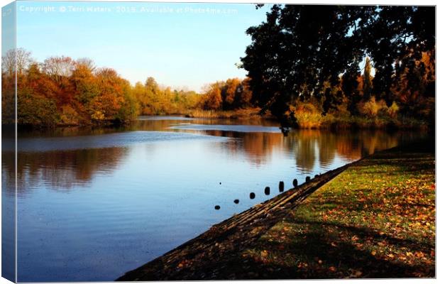 River Itchen in Autumn Canvas Print by Terri Waters