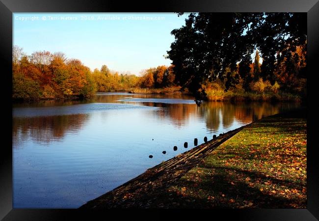 River Itchen in Autumn Framed Print by Terri Waters