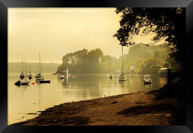 Misty Morning at Restronguet Weir Framed Print by Terri Waters