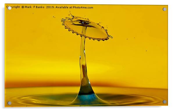 Splash Art 8 Acrylic by Mark  F Banks