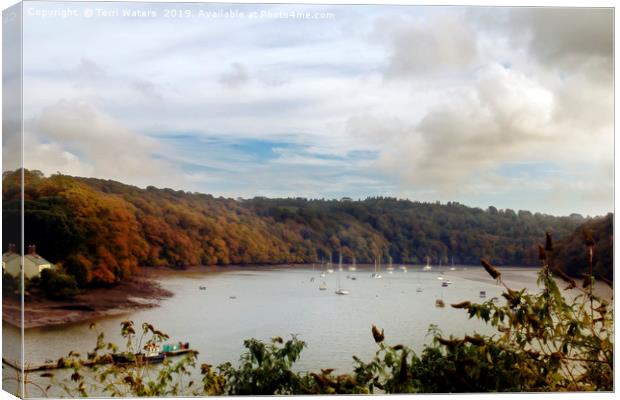 The View From Malpas Canvas Print by Terri Waters
