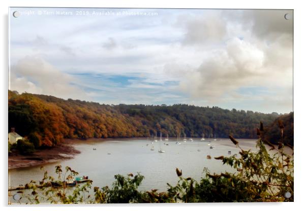 The View From Malpas Acrylic by Terri Waters