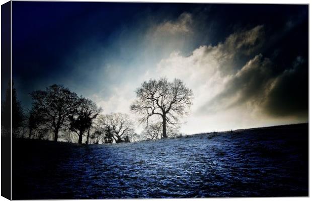Dramatic frost Canvas Print by Rachael Hood