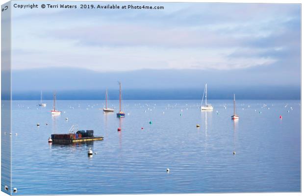 Winter Tranquillity In Carrick Roads Canvas Print by Terri Waters