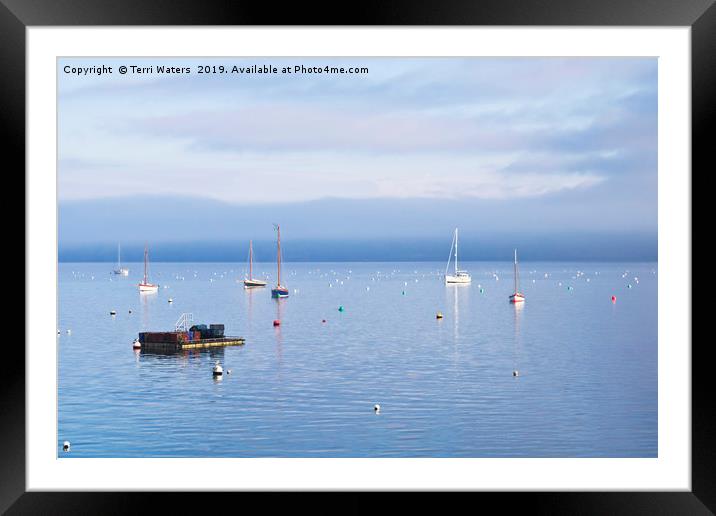Winter Tranquillity In Carrick Roads Framed Mounted Print by Terri Waters