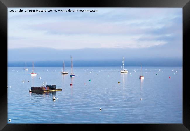 Winter Tranquillity In Carrick Roads Framed Print by Terri Waters
