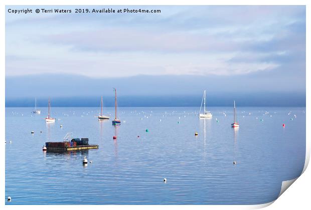 Winter Tranquillity In Carrick Roads Print by Terri Waters