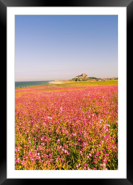 Portrait of the Castle and Campion Framed Mounted Print by Naylor's Photography