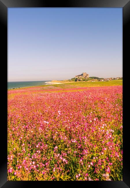 Portrait of the Castle and Campion Framed Print by Naylor's Photography