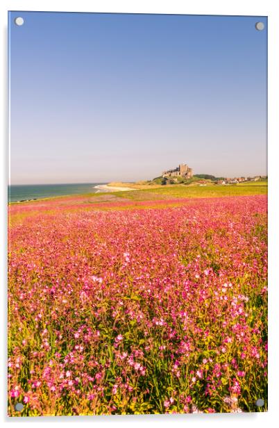 Portrait of the Castle and Campion Acrylic by Naylor's Photography