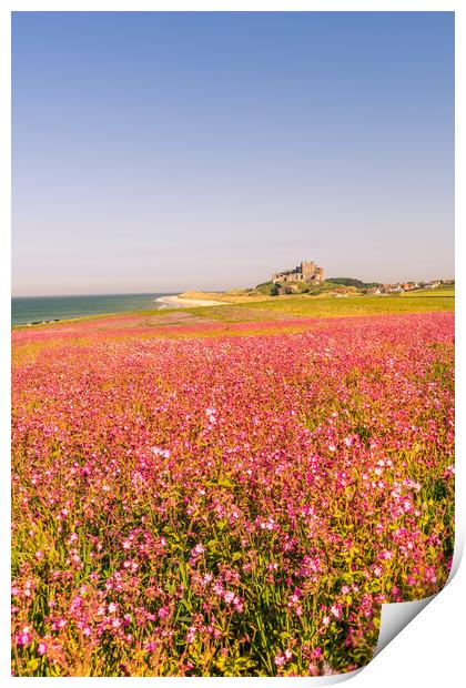 Portrait of the Castle and Campion Print by Naylor's Photography