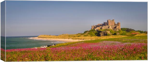 Bamburgh Castle Campion fields Canvas Print by Naylor's Photography
